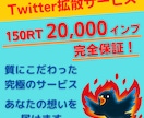 Twitterでの拡散！２万インプ保証します 質にこだわり、あなたの想いを多くの人にお届けします！ イメージ1