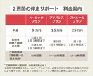 事業者向け・公募型プロポーザルを徹底サポートします 元行政担当者が伴走します【2週間】 イメージ3