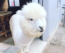 他人だからこそできるお話お聞きします ポイント無駄にする前に、私で消費してみませんか？ イメージ4