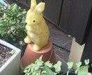 あなたの恋愛・愚痴・悩み相談何でも話し聞きます 恋の悩み、夫婦の悩み、職場の愚痴など、誰かに聞いて欲しい方 イメージ8