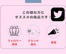 Twitterのフォロワー1500人増やします 海外1フォロワー＝1円の低価格&スピード納品&高品質 イメージ2
