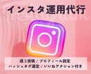 １ヶ月インスタ運用代行であなたをサポートします 〈画像作成料込み！〉SNS集客実績者が運用代行で安心！ イメージ1