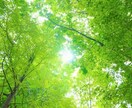選択可能☆強力浄化orご縁結び1週間受けられます レイアのリピーター様専用のサービスです！！ イメージ4