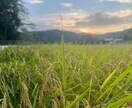 移住相談に乗ります いつか移住したい、でも、、、の不安を一歩前進させる イメージ4