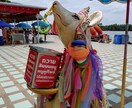 タイ最強開運の巨大ピンクガネーシャへ参拝します 結婚、金運、健康、何でも！ピンクガネーシャへ真剣祈願代行 イメージ9