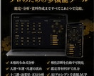 四柱推命プロツールを販売します 占い師向け本格鑑定支援システム イメージ3