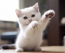 将来の悩み、今の悩み相談にのります お一人でお悩みの方、知人には話せない不安、悩みを解決 イメージ1
