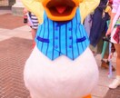 1日でディズニーランドを満喫できる方法教えます。 イメージ1