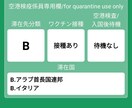 コロナ禍に海外旅行に行きたい方。アドバイスします ツアーはしばらく無理です！ 海外個人旅行なら行けます！ イメージ8