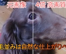 大切なあの子の思い出を、高画質化します 写真のあの子、ぼやけたまま残しますか？ イメージ3