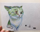 ペットのイラストを描きます あなたのお気に入りのペットを好きな色で残す イメージ1