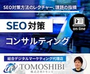 オンラインでSEOのお悩み解決します ビデオチャットにてSEOのお悩み、課題を画面越しに即座に解決 イメージ1