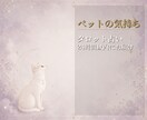 ペットの気持ちをタロットで丁寧に読み解きます 24時間以内｜犬・猫・うさぎなど小動物も可 イメージ1