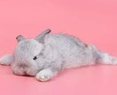 即レス♡LINE•メール添削、返信一緒に考えます 恋人、片思い、彼女、彼氏、返信に困ったときは頼ってね❤️ イメージ3