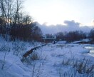 用途不問の背景画像提供します 背景に使えそうな写真を提供します イメージ3