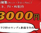 動画編集【カット・テロップ】【PV・MV編集】ます 低コスト高品質早期納品!コスパ最強を目指します イメージ1