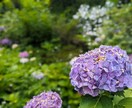 なんでも聞きます 1分からでも！長時間でも！あなたのお悩みを聞きます！ イメージ1
