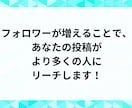TikTokフォロワー1,000人～増やします TikTokフォロワー1000以上でライブ配信機能解放！ イメージ3