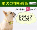 4タイプ別プチ診断⭐︎愛犬の性格診断します 性格タイプを知れば、愛犬の気持ちや行動がよくわかる！ イメージ1