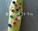 自閉スペクトラム症詳細特性と確立された支援教えます 100名以上の児者支援と国研修講師経験から事例多く持ってます イメージ1