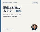 ゲーム配信者向けにSNS・配信ネタ30本を作ります 元公認配信者が活動内容に合わせて1か月分を個別設計 イメージ1
