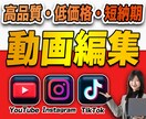 YouTubeやSNS等の動画編集承ります YouTube・SNS・縦型ショート対応｜丸投げOK イメージ1