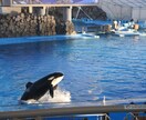 ICL、眼内コンタクトレンズのご相談を承ります 実際のICL手術の経験者として正直に何でもお話しします。 イメージ1