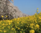 ワクワクするような旅行のご計画をサポートします 旅行の計画が苦手・面倒な方へ。感動できる旅行を提供します。 イメージ2