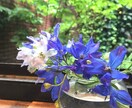 あなたのお話聞きます あいこのはきだし部屋（心に溜めたことはき出してみませんか？） イメージ2