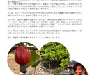 魅力を伝えるパンフレットデザイン承ります 会社学校イベントに最適！わかりやすく魅力を引き出すのデザイン イメージ6