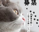 デザイナー歴15年・整う美しいチラシ制作をします “整う美しさ”で心に残るデザインを。 イメージ9