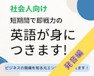 社会人向け 短期間で即戦力の英語が身につきます 挫折しない！聞き取れ話せる英語マスタープログラム・発音編 イメージ1