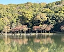 子育て全般のお悩みを傾聴させていただきます 。楽しくお子さまの未来を一緒に！ イメージ1