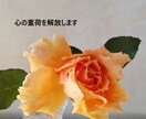 不登校、引きこもりの方の、心の重荷を解放します 心に抱えている重荷を取り除きます。学生限定 イメージ1