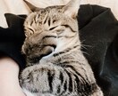 男の子の子育ての愚痴やらなんやら全て受け止めます 毒は吐き出してすっきり！明日のために！（傾聴） イメージ1