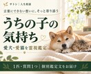 愛犬・愛猫の気持ちとあなたへの想いを霊視します うちの子はどう思ってる？日々の触れ合いに寄り添う鑑定 イメージ1