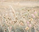 至高無上の霊視で解明｜あなたを真実の理想へ導きます 論理と霊性が交差する【運命の到達点】天命を知り確実な幸せを イメージ3