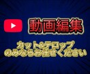 カット＋テロップ編集します カットと統一感ある字幕を挿入！！ イメージ1
