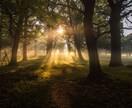 あなたの中にある答えに気付いて頂きます 現役占い師コンサルが、あなたの悩みに寄り添います。 イメージ2