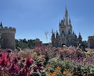 ディズニーへ行く前の事前相談のります ディズニーへ行く前にお困り事があればお助けします！ イメージ1