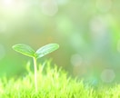 うちの親って毒親？家族の悩み、受け止めます アダルトチルドレン、毒親、過干渉、愛情飢餓…なんでもどうぞ イメージ10
