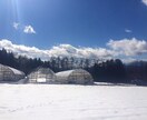田舎暮らしを検討中の方のお悩みお聞きします 信州の里山で古民家改修、狩猟、平飼い養鶏、有機農業の経験あり イメージ6