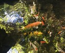 愚痴・悩み・他愛もない内容なんでも聞きます‼︎ます 身近に相談できる方がいない、とにかく誰かと話したいを叶えます イメージ2