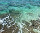 タロットであなたは必要なメッセージを送ります タロットからあなたに必要なメッセージをお伝えします イメージ1