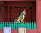 ペット、守護動物、神獣との結び、通訳します ペット、虹の橋を渡ったペット、守護動物等を通訳します。 イメージ6