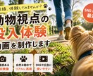 動物視点の没入体験動画を制作します 臨場感ある視点で印象に残る映像を制作します イメージ1