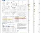 算命学であなたの宿命を鑑定します 算命学による基本鑑定です。3～6枚の鑑定書をお届けします。 イメージ2