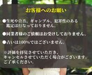 5名様限定！あなたの魅力を言語化します 手相から導く“自分らしさを見つける”鑑定 イメージ9