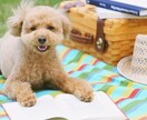 初めての方限定⭐︎お試しトーク枠ご用意しております りこってどんな人？元企業受付＋役員秘書とお話ししませんか？ イメージ8