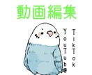 動画編集します 最安値で受けます！！！TikTok、YouTubeなどなど！ イメージ1